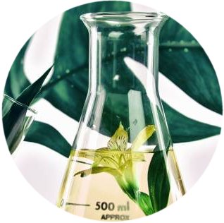 ACERCA DE HERBOANDINA S.A.